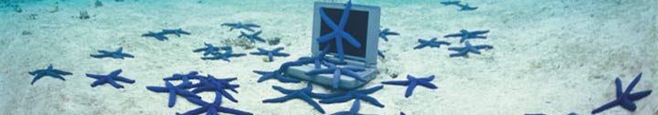 computer & starfish