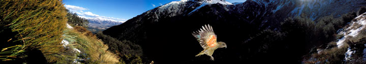 birds eye view, kea, mountains