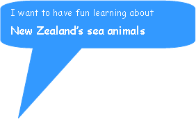 Rounded Rectangular Callout: I want to have fun learning about   New Zealands sea animals